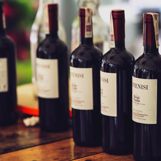 Vins